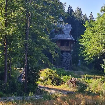 Oaza * Mokra Gora