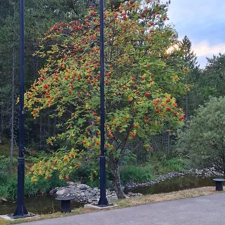 Oaza Mokra Gora
